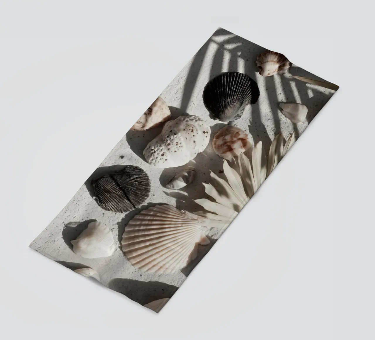 Shell Stories No 02 telo mare da treechild