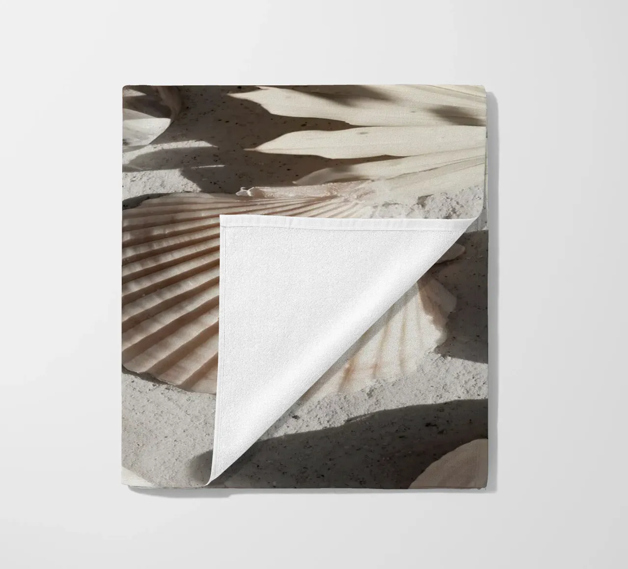 Shell Stories No 02 telo mare da treechild