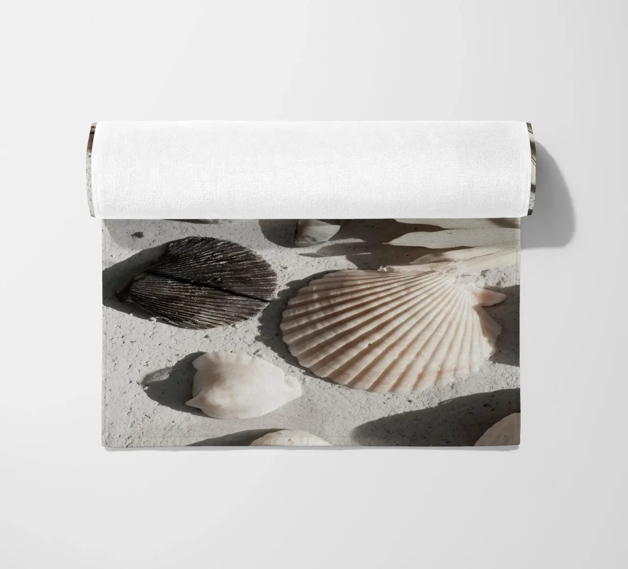 Shell Stories No 02 telo mare da treechild