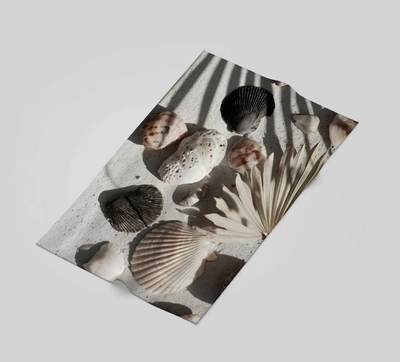 Shell Stories No 02 telo mare da treechild