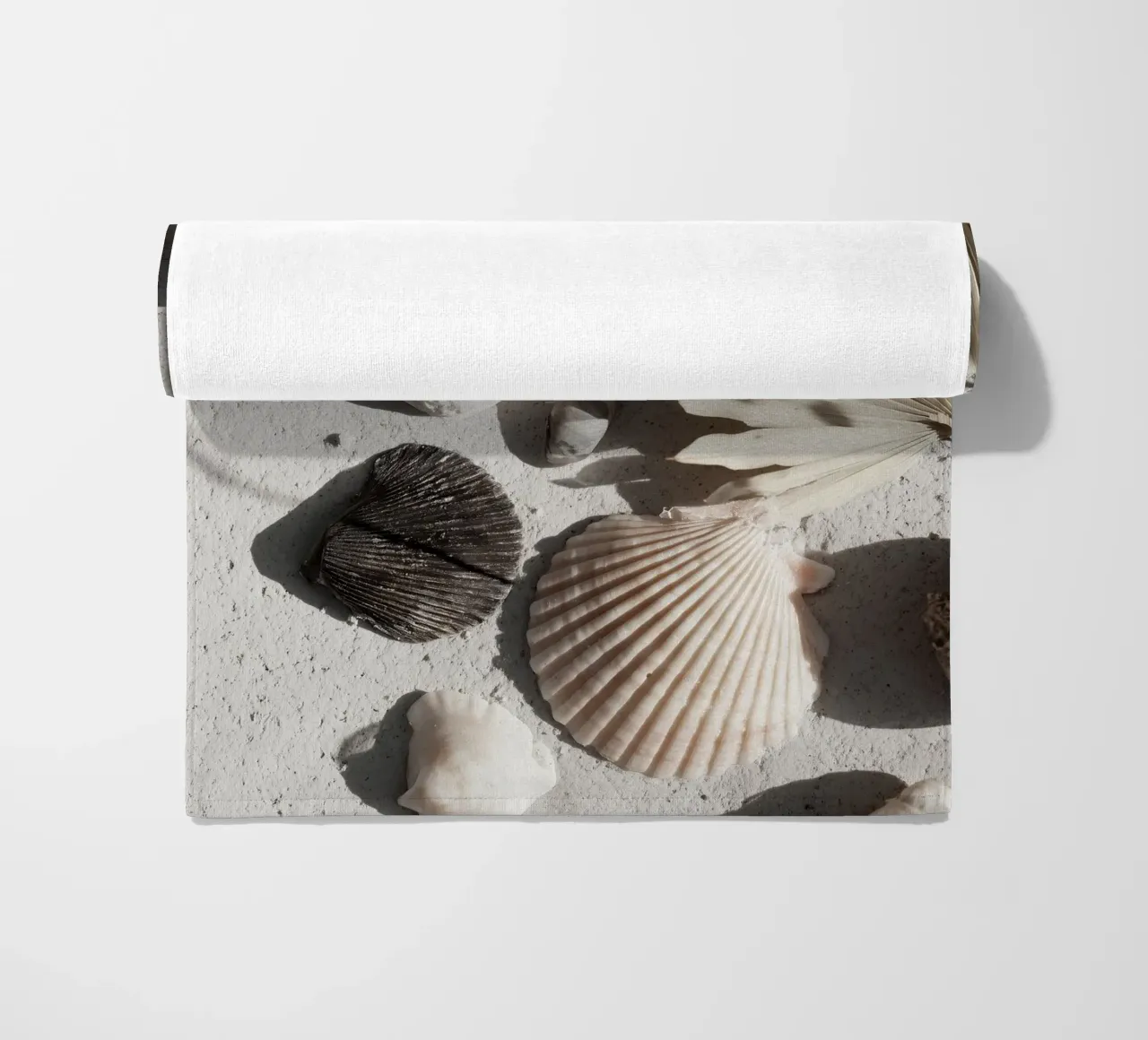 Shell Stories No 02 telo mare da treechild