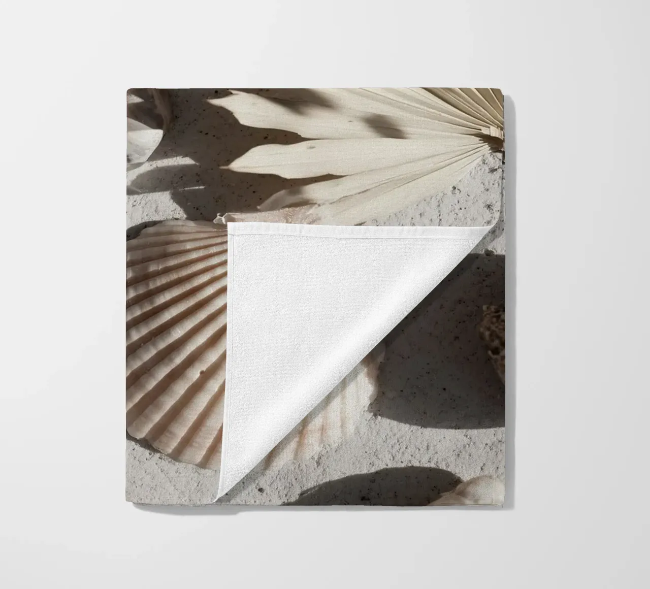 Shell Stories No 02 telo mare da treechild