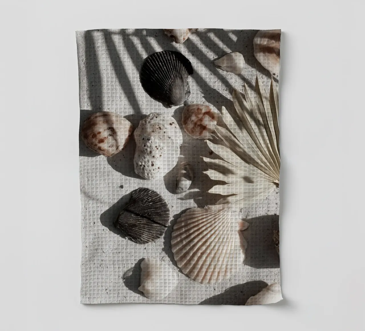 Shell Stories No 02 canovaccio da cucina da treechild