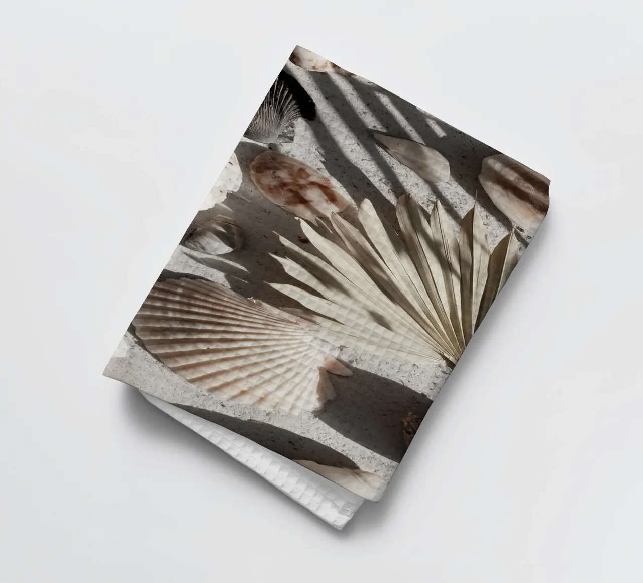 Shell Stories No 02 canovaccio da cucina da treechild