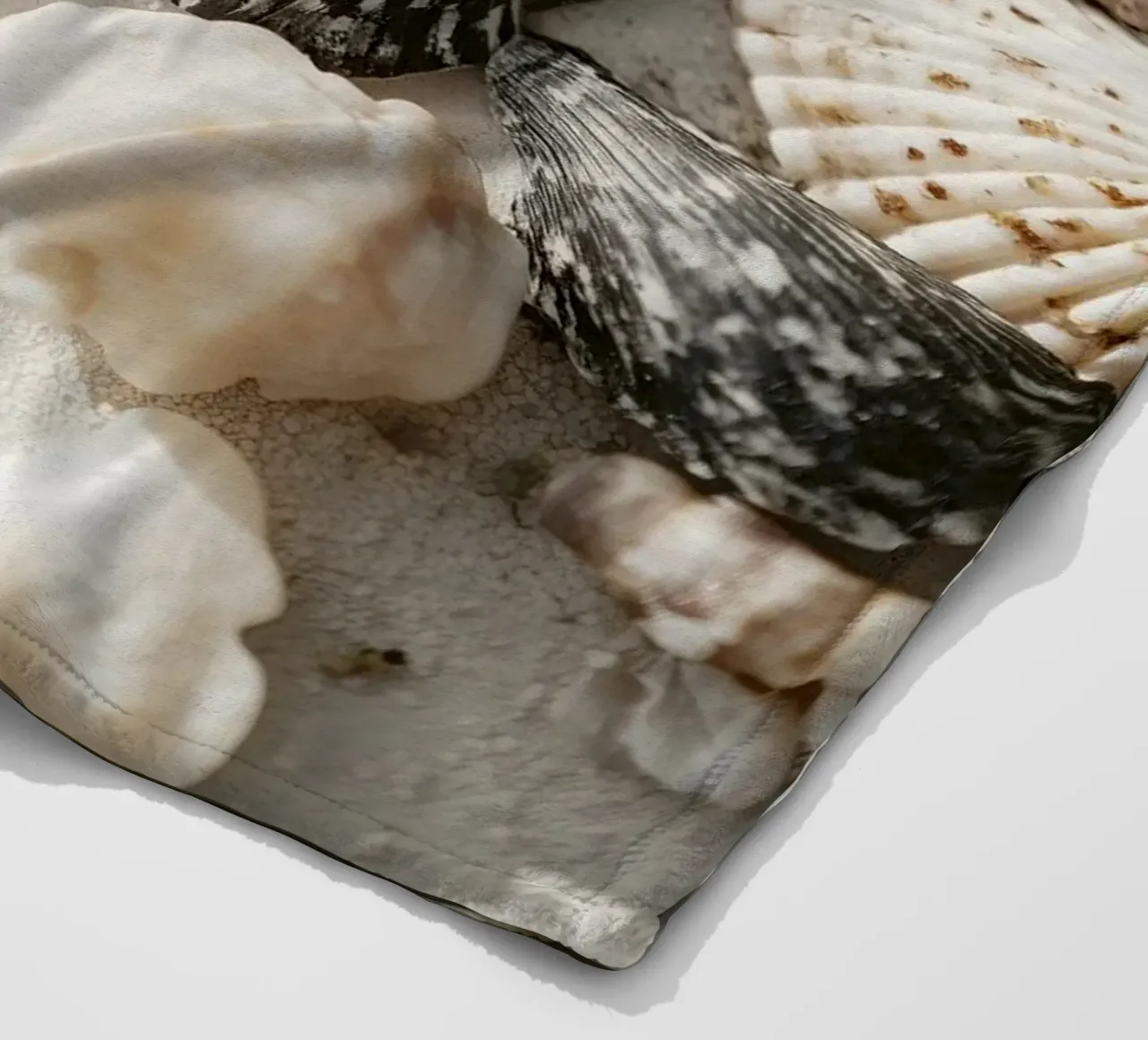 Shell Stories No 03 coperta in pile da treechild