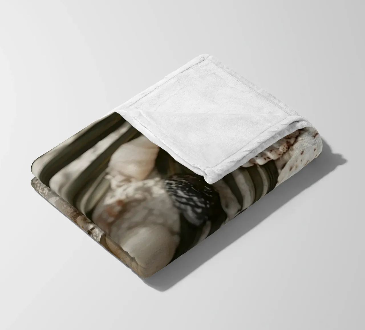 Shell Stories No 03 coperta in pile da treechild