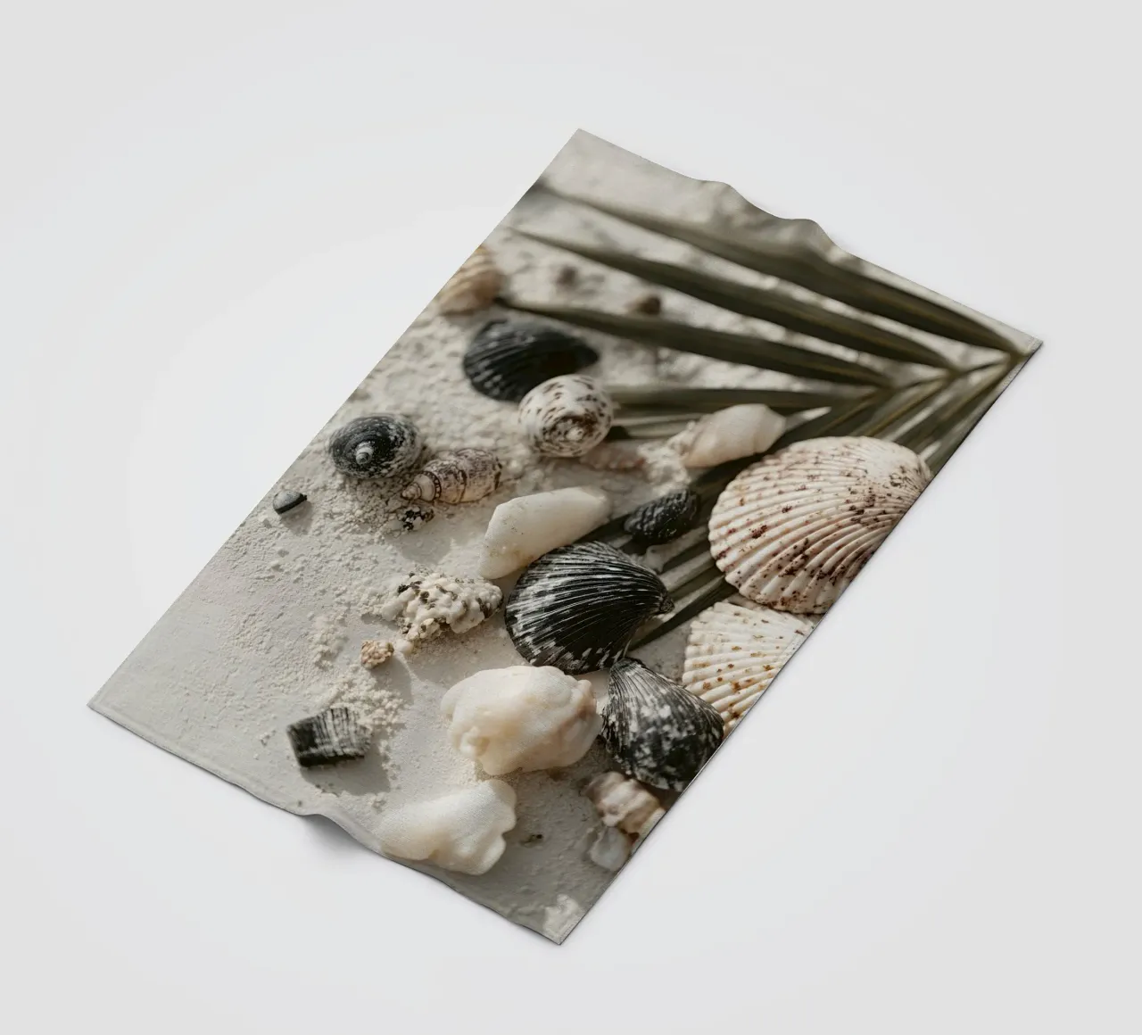 Shell Stories No 03 coperta in pile da treechild