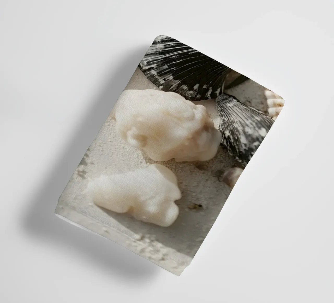 Shell Stories No 03 asciugamano da bagno da treechild