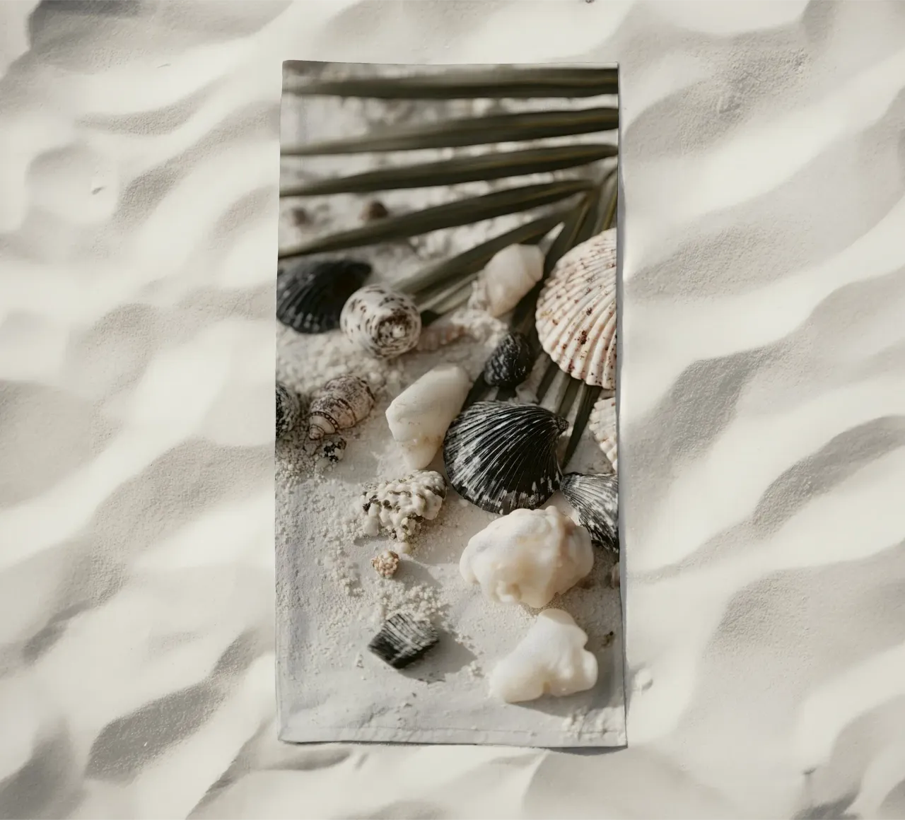 Shell Stories No 03 telo mare da treechild