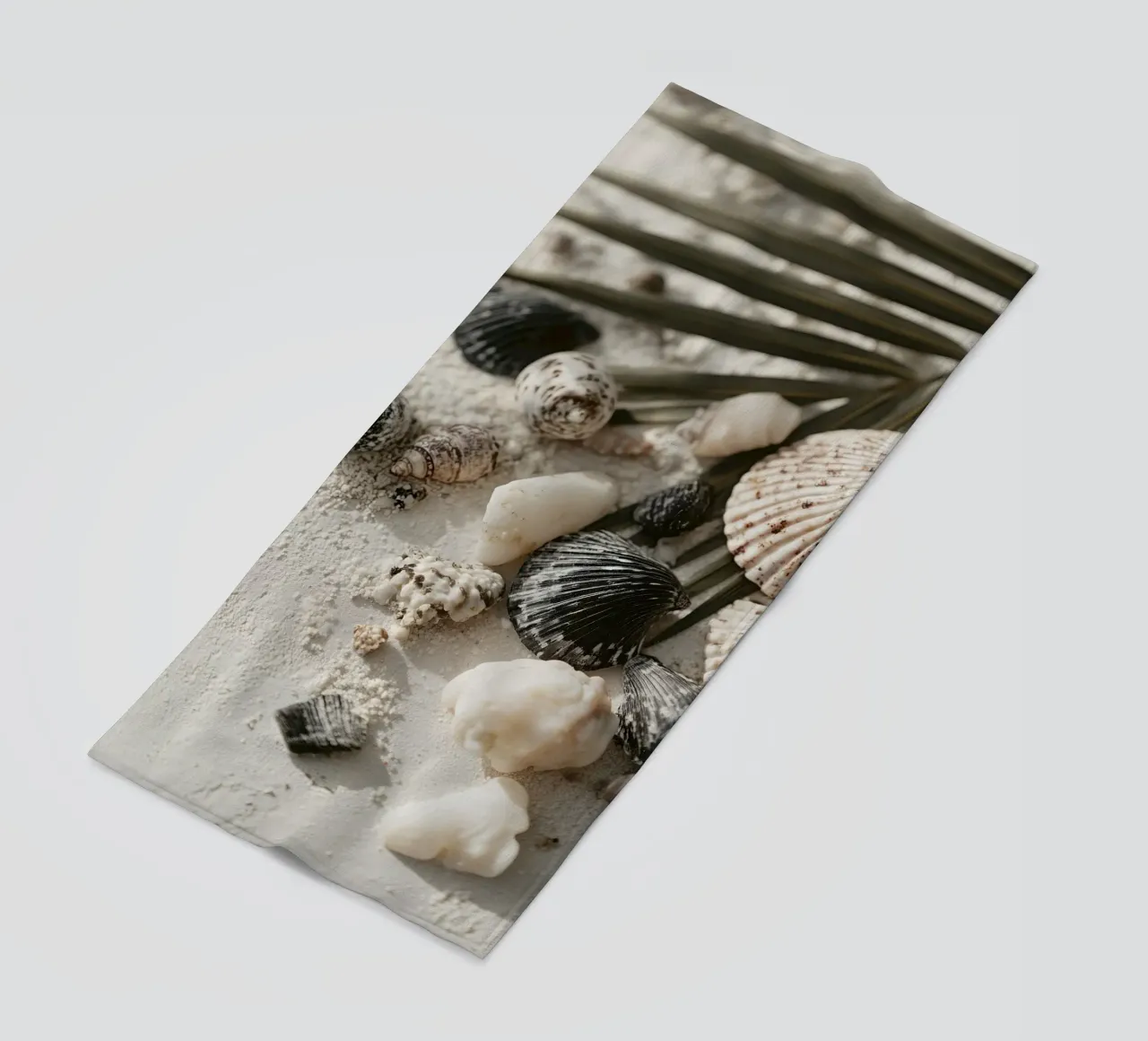 Shell Stories No 03 telo mare da treechild