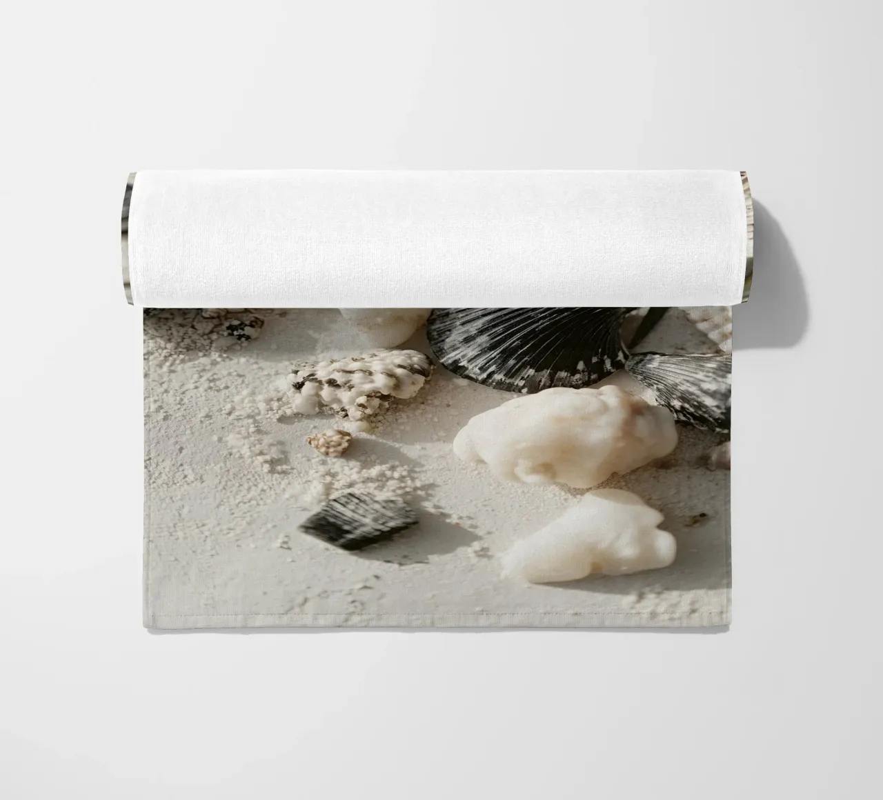 Shell Stories No 03 telo mare da treechild