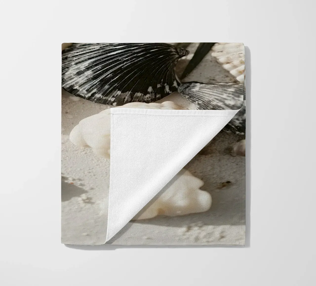 Shell Stories No 03 telo mare da treechild