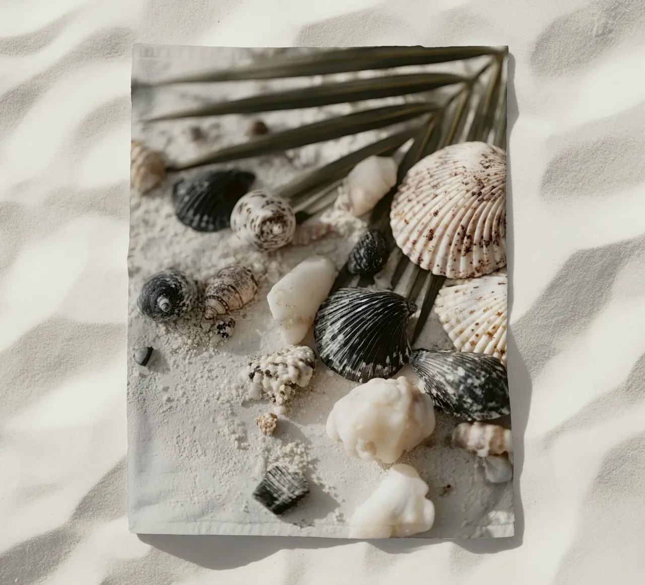 Shell Stories No 03 telo mare da treechild