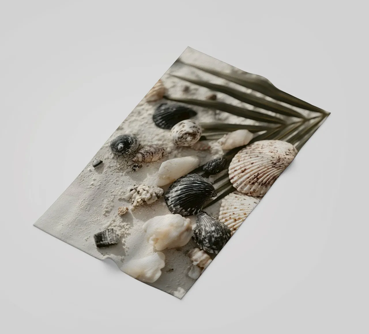 Shell Stories No 03 telo mare da treechild