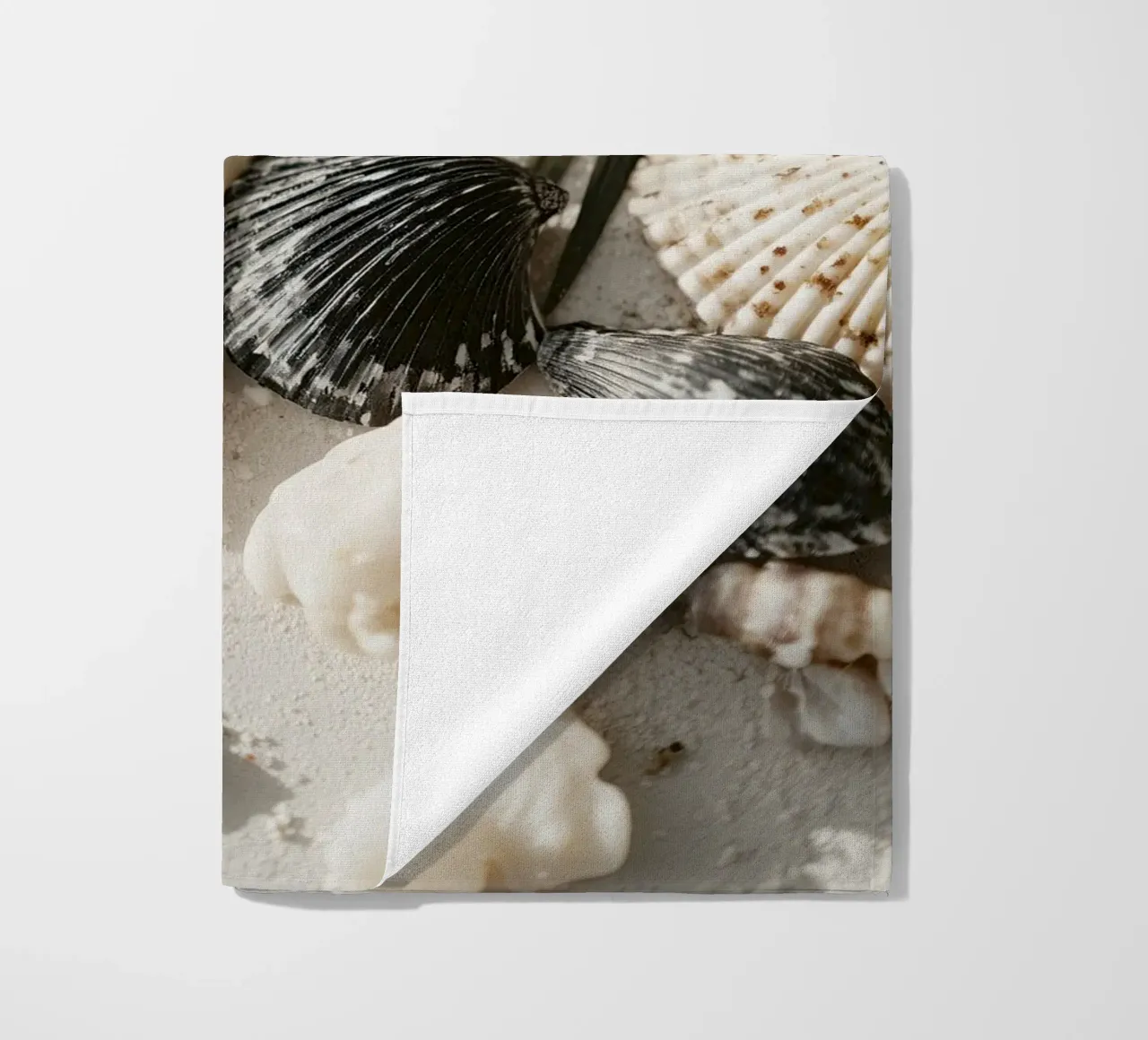 Shell Stories No 03 telo mare da treechild