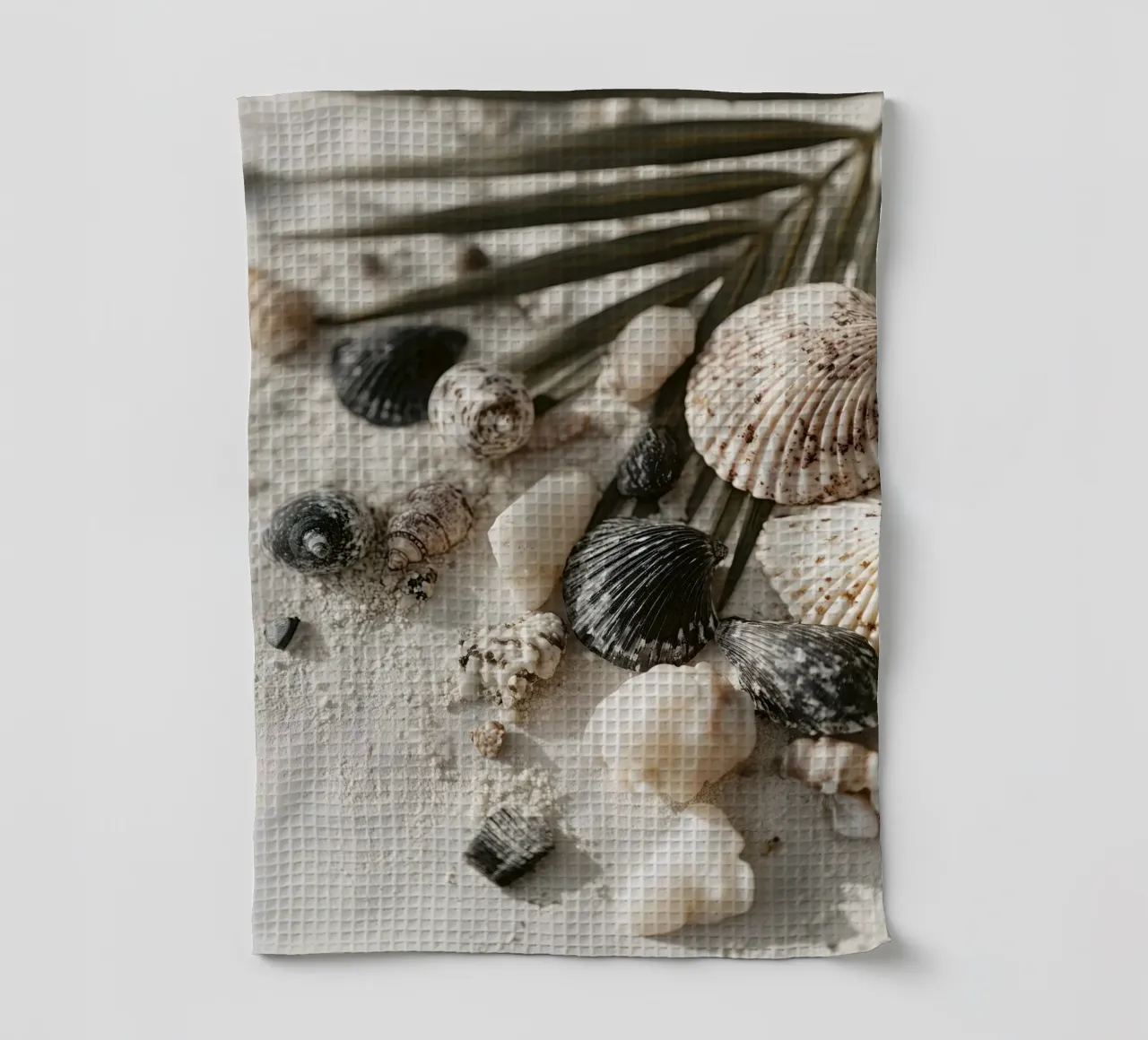 Shell Stories No 03 canovaccio da cucina da treechild