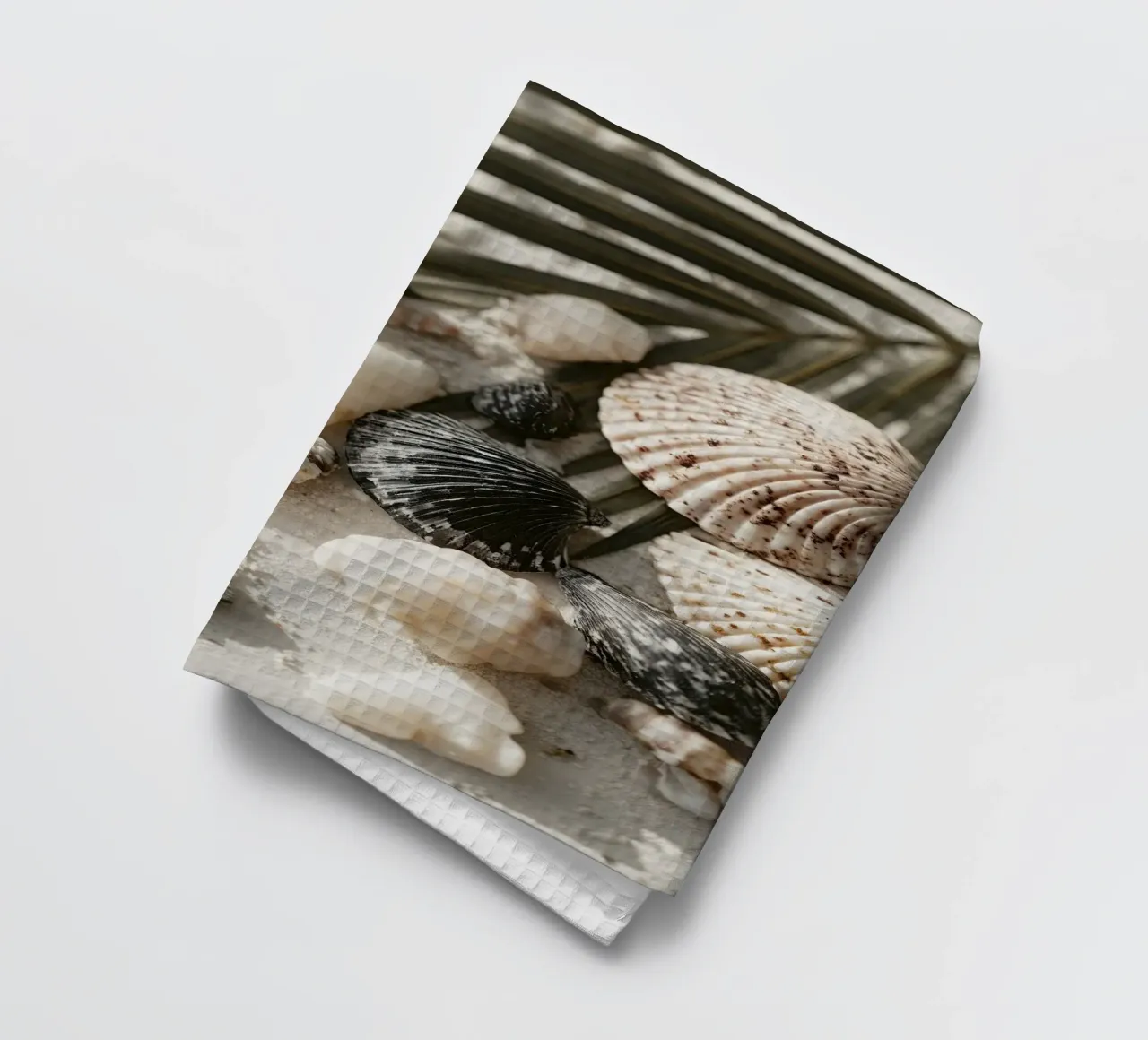 Shell Stories No 03 canovaccio da cucina da treechild