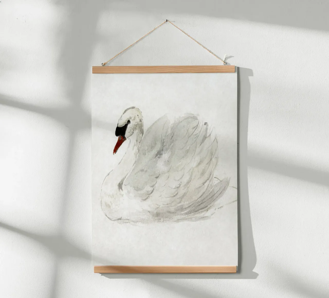 White swan drawing poster con telaio in alluminio da vintageshop