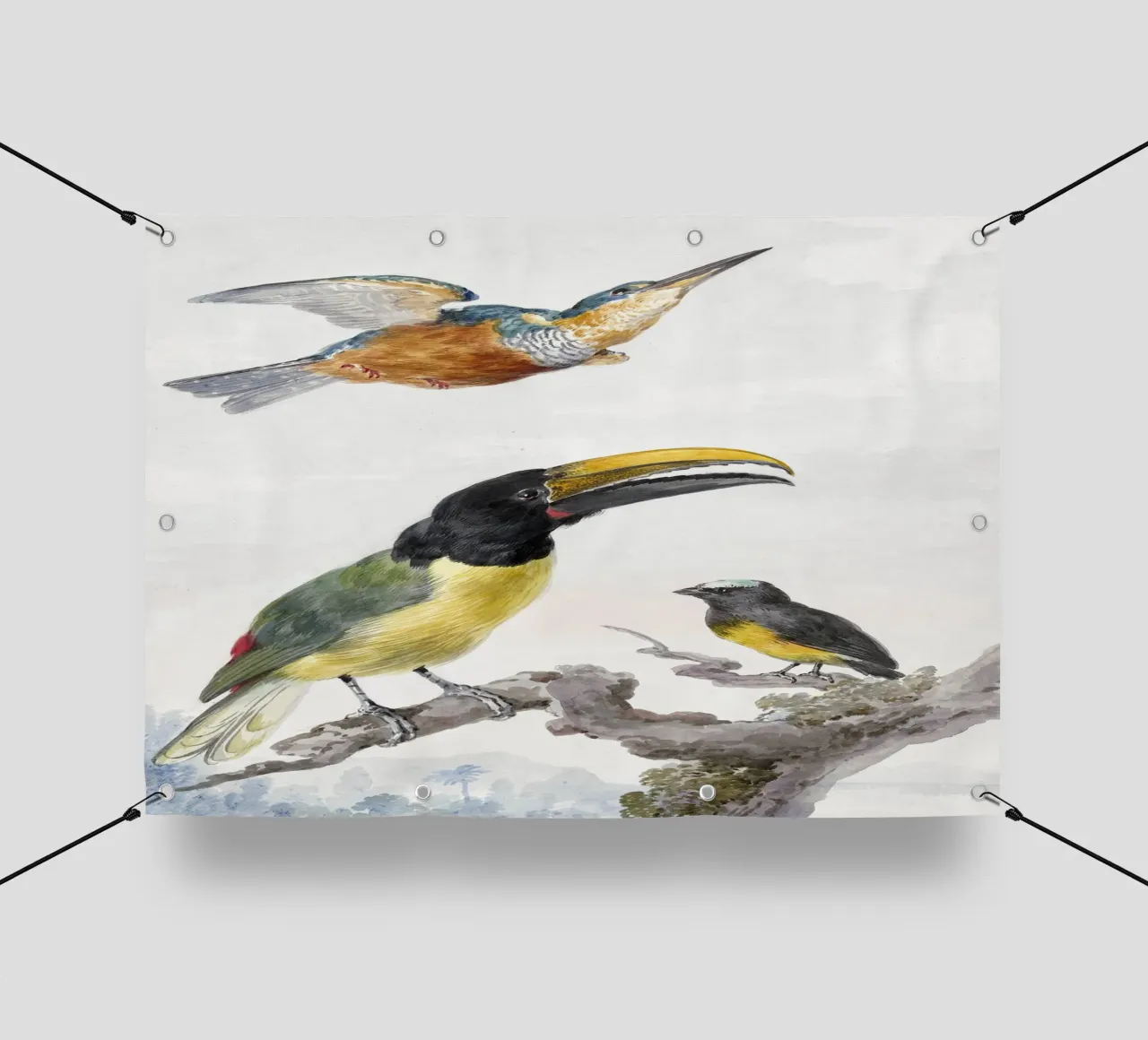 Three Birds: a Kingfisher, a Prince von Wied's Toucan and an telo in pvc da vintageshop