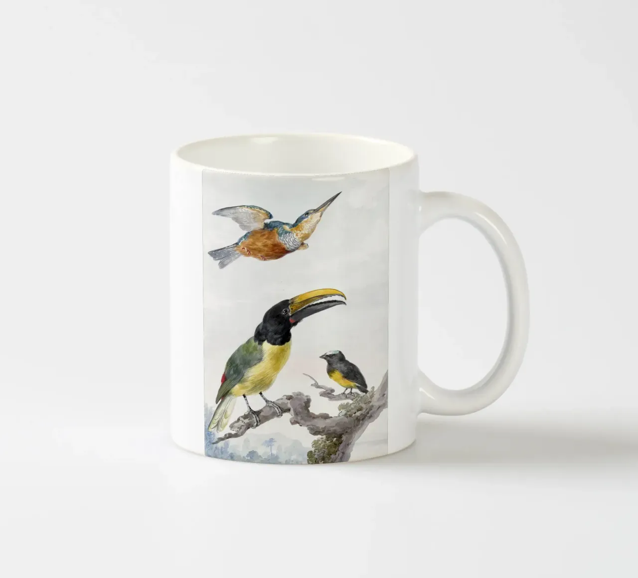 Three Birds: a Kingfisher, a Prince von Wied's Toucan and an tazza in ceramica da vintageshop