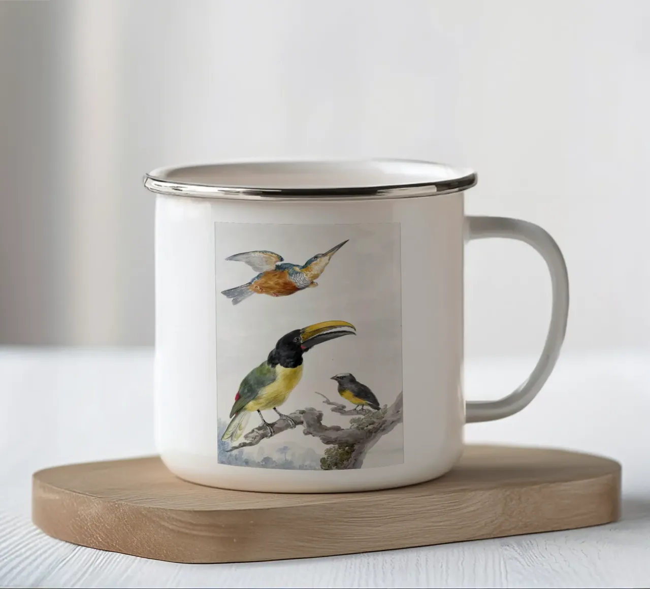 Three Birds: a Kingfisher, a Prince von Wied's Toucan and an tazza in smalto da vintageshop