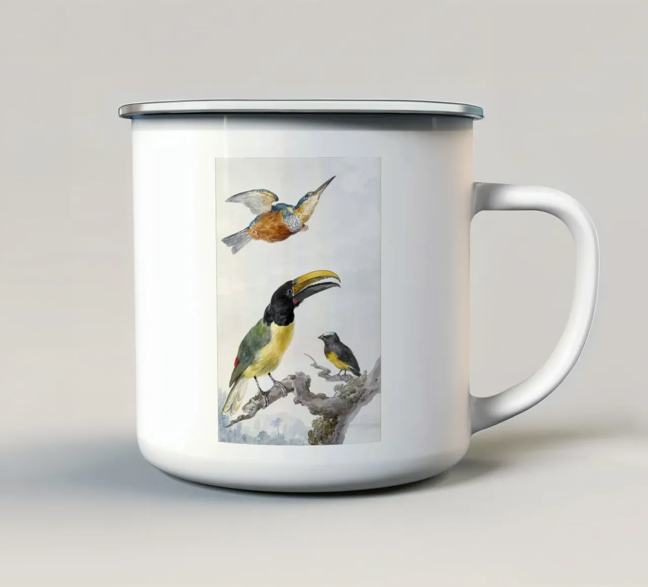 Three Birds: a Kingfisher, a Prince von Wied's Toucan and an tazza in smalto da vintageshop