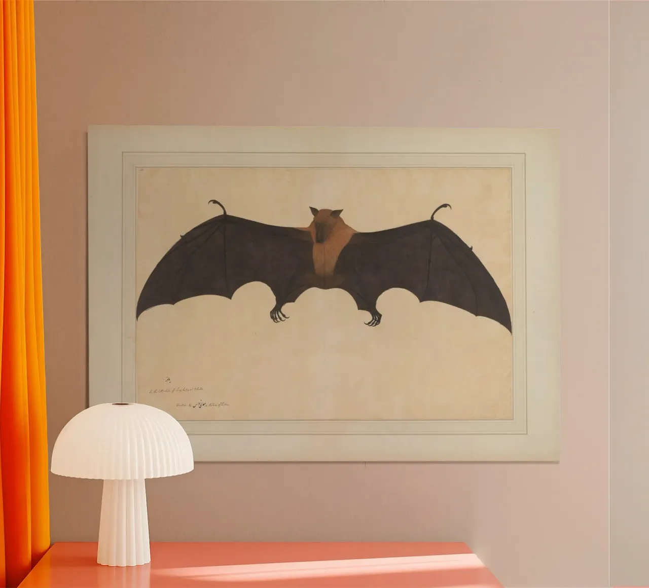 Illustrazione di pipistrello vintage: Arte da parete Dark Academia poster da vintagepod
