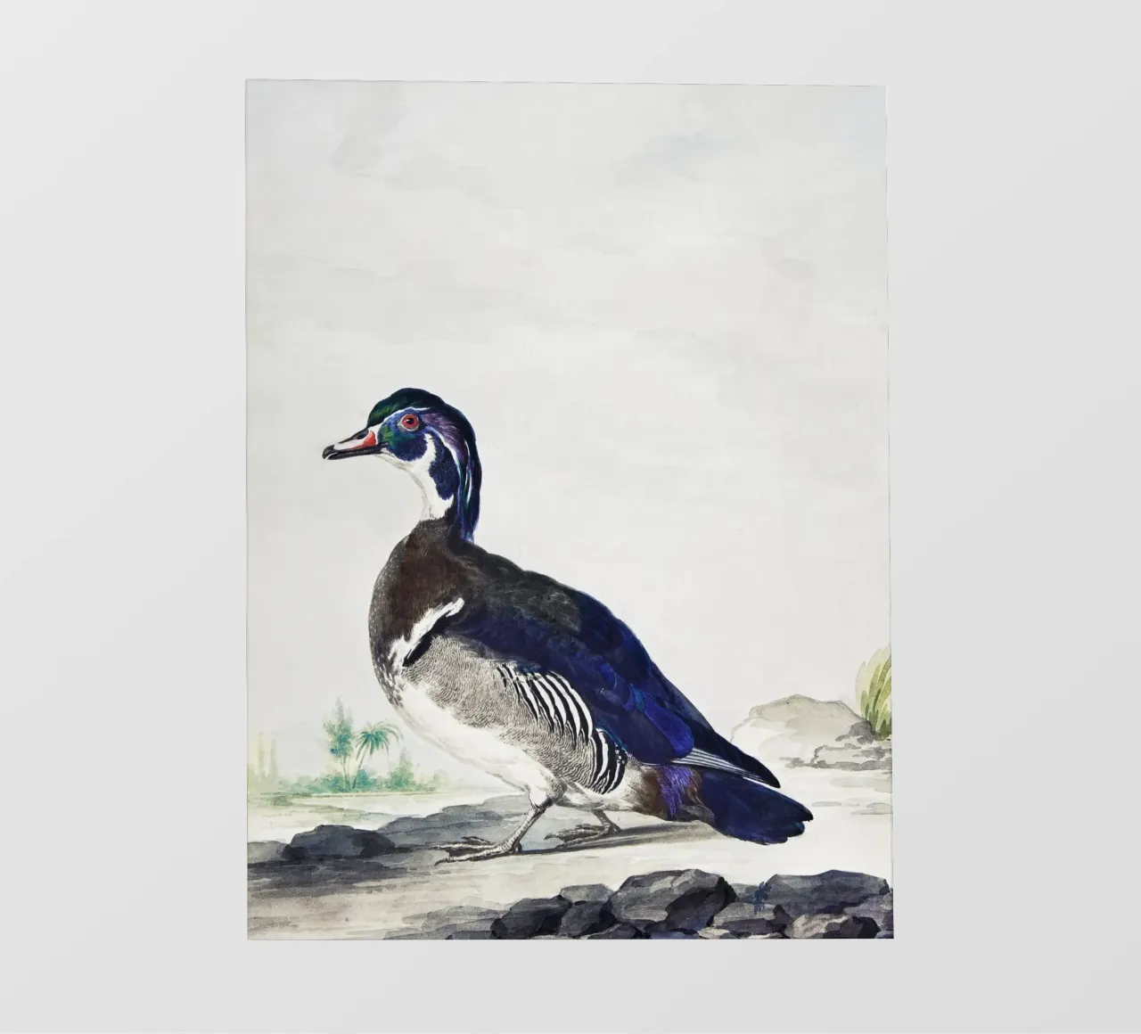 A Duck telo in pvc da vintageshop