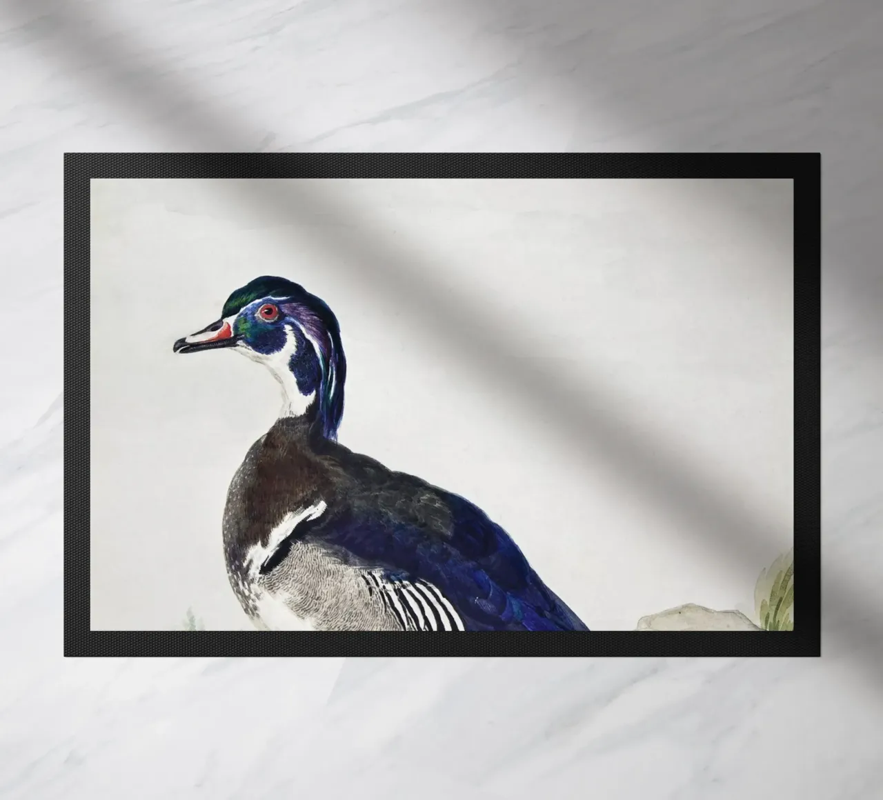 A Duck zerbino da vintageshop