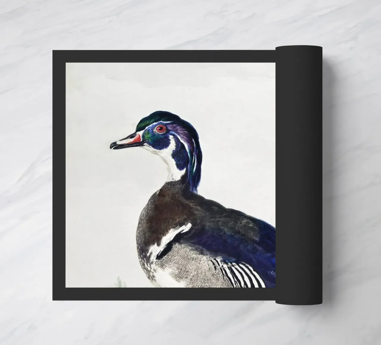 A Duck zerbino da vintageshop