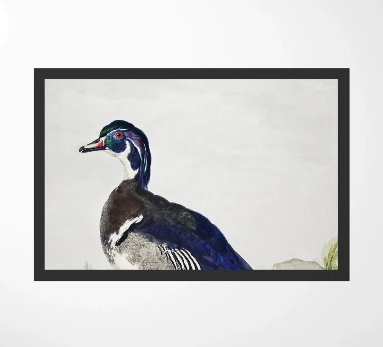 A Duck zerbino da vintageshop