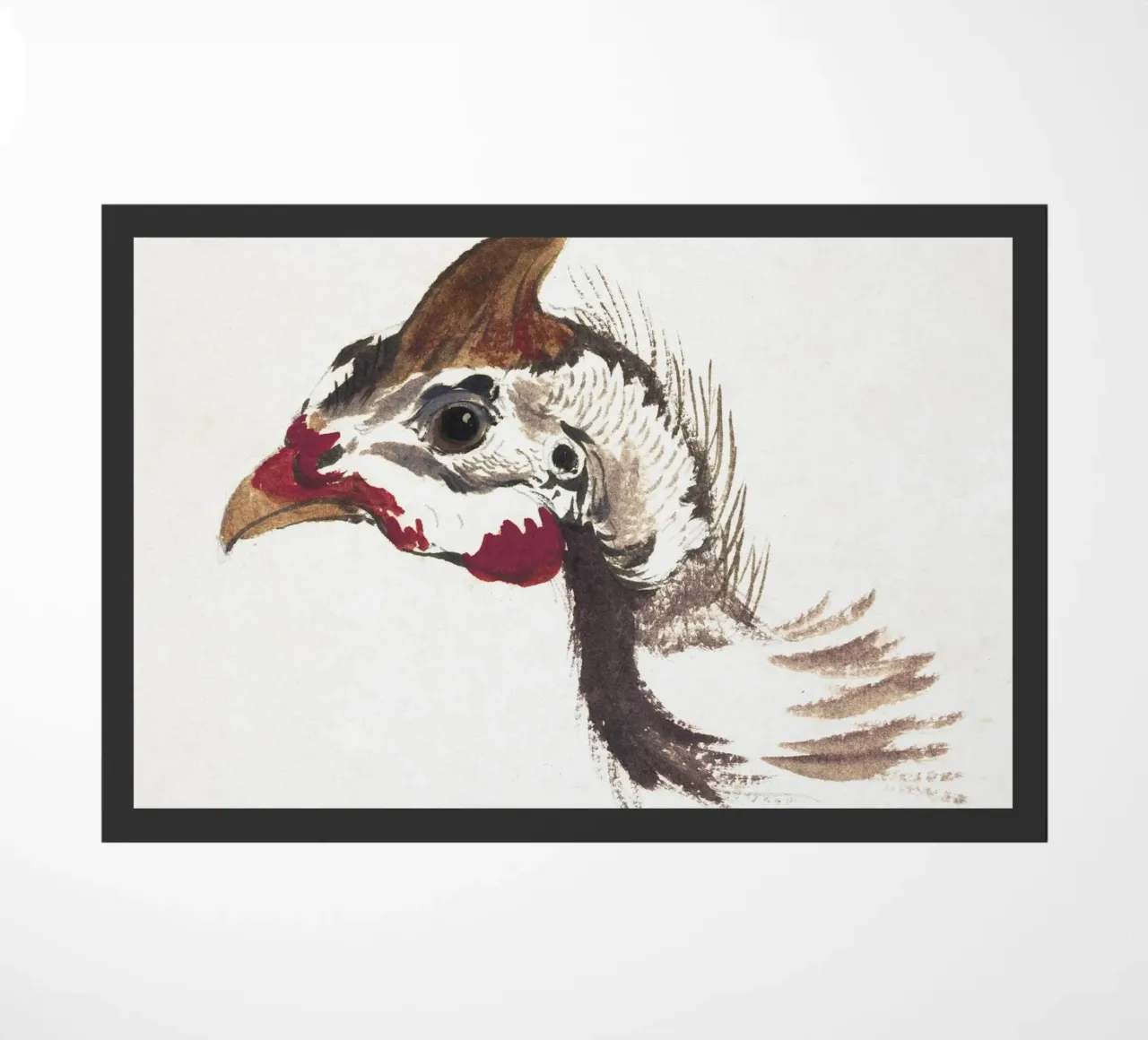 Head of a Helmeted Guineafowl zerbino da vintageshop