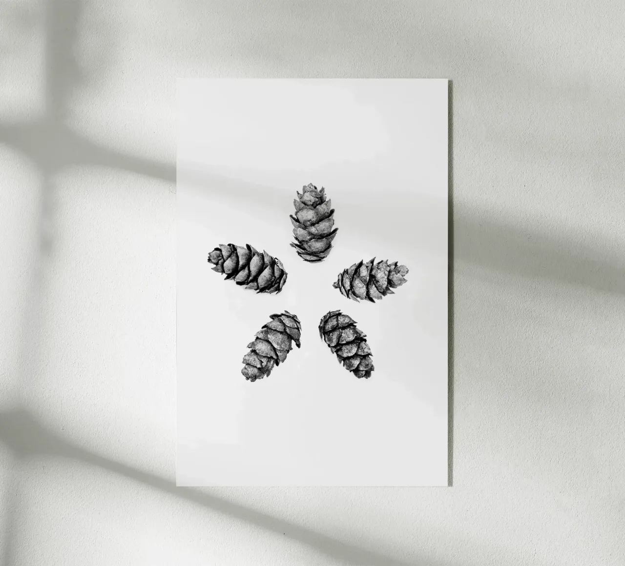 Pine Cones 5 plexiglass da Mareike Böhmer Photography