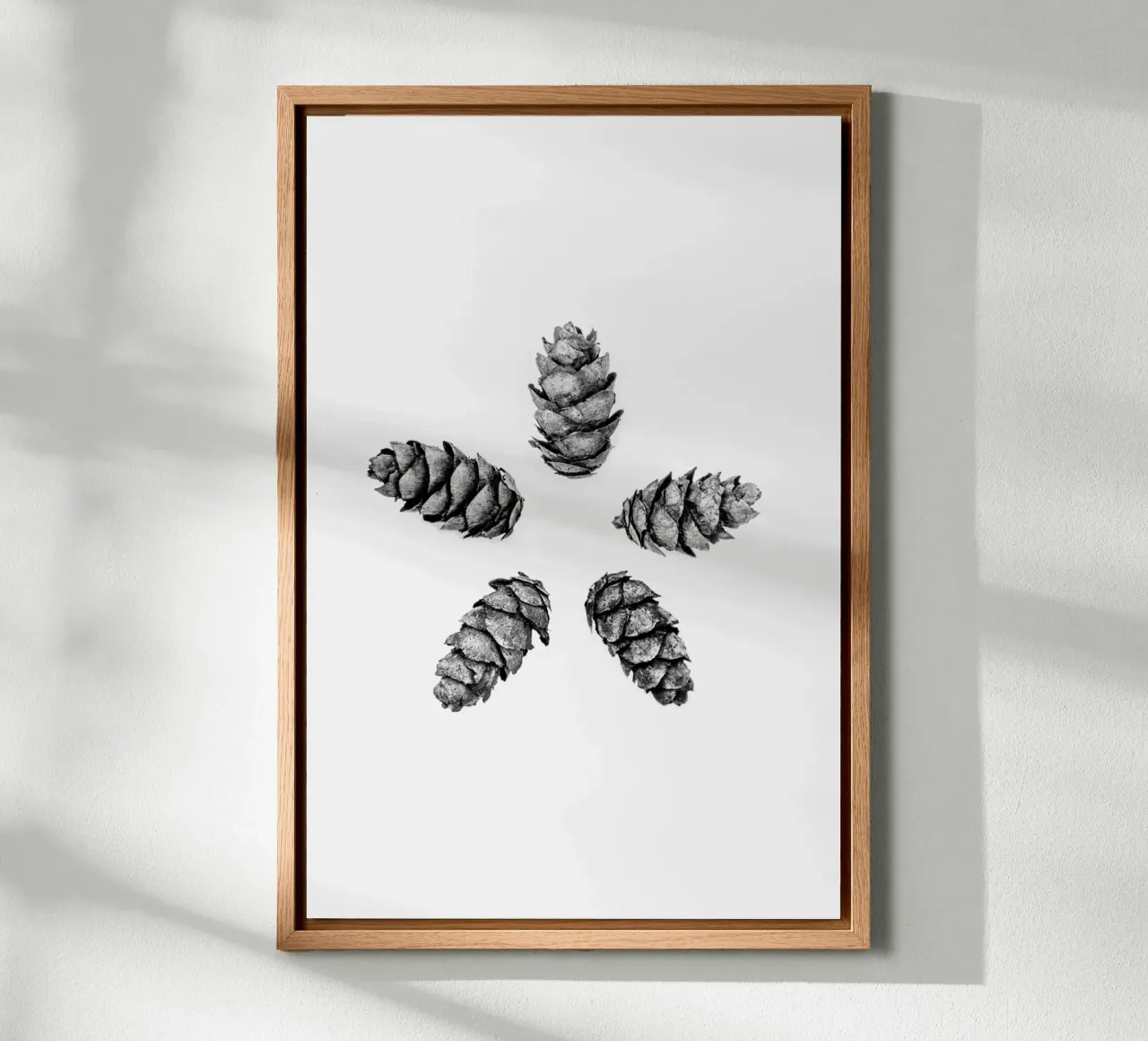 Pine Cones 5 alluminio dibond da Mareike Böhmer Photography