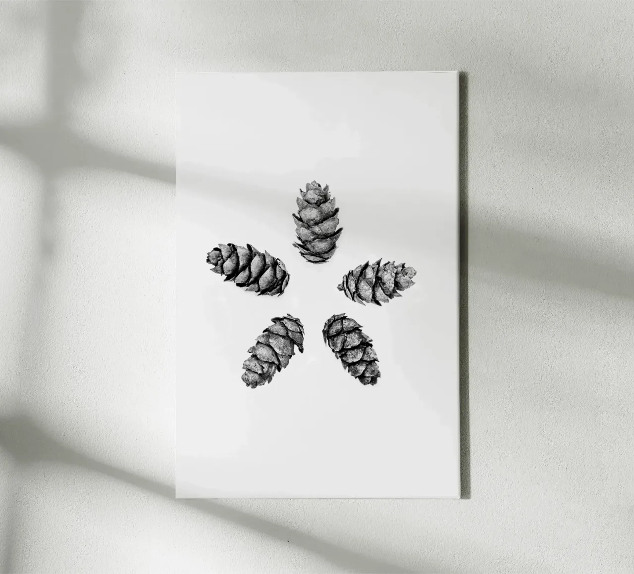 Pine Cones 5 tela con Cornice a cassetta da Mareike Böhmer Photography