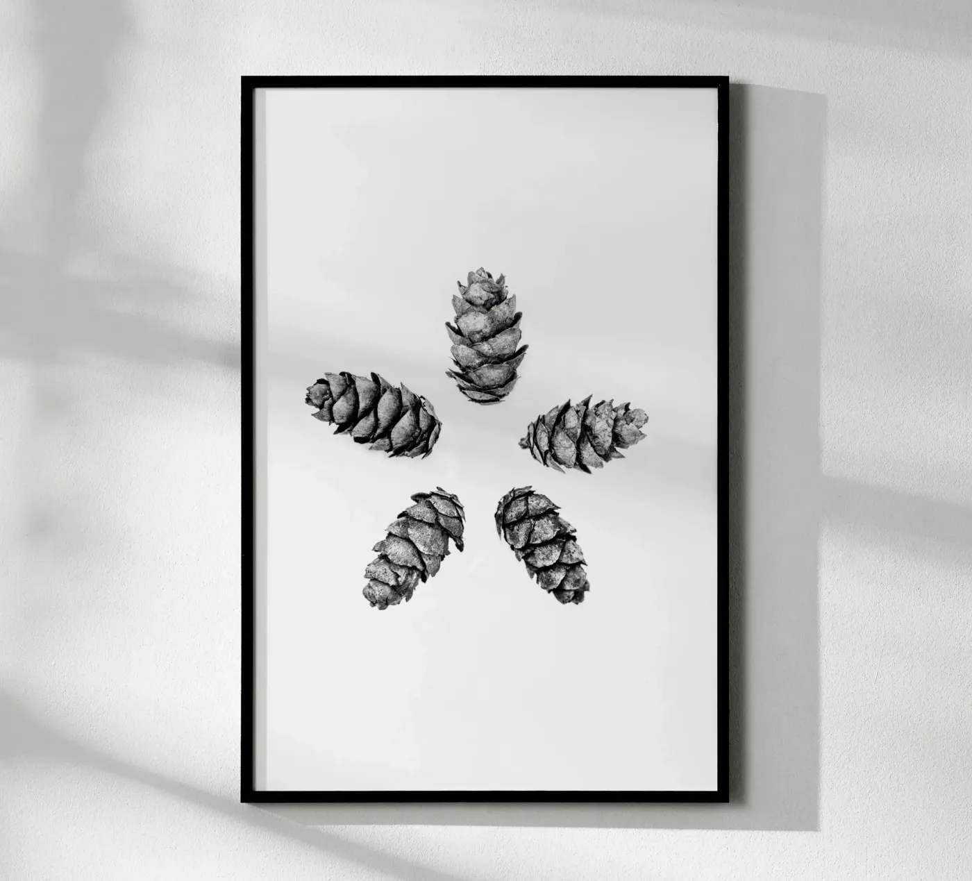 Pine Cones 5 poster by Mareike Böhmer Photography