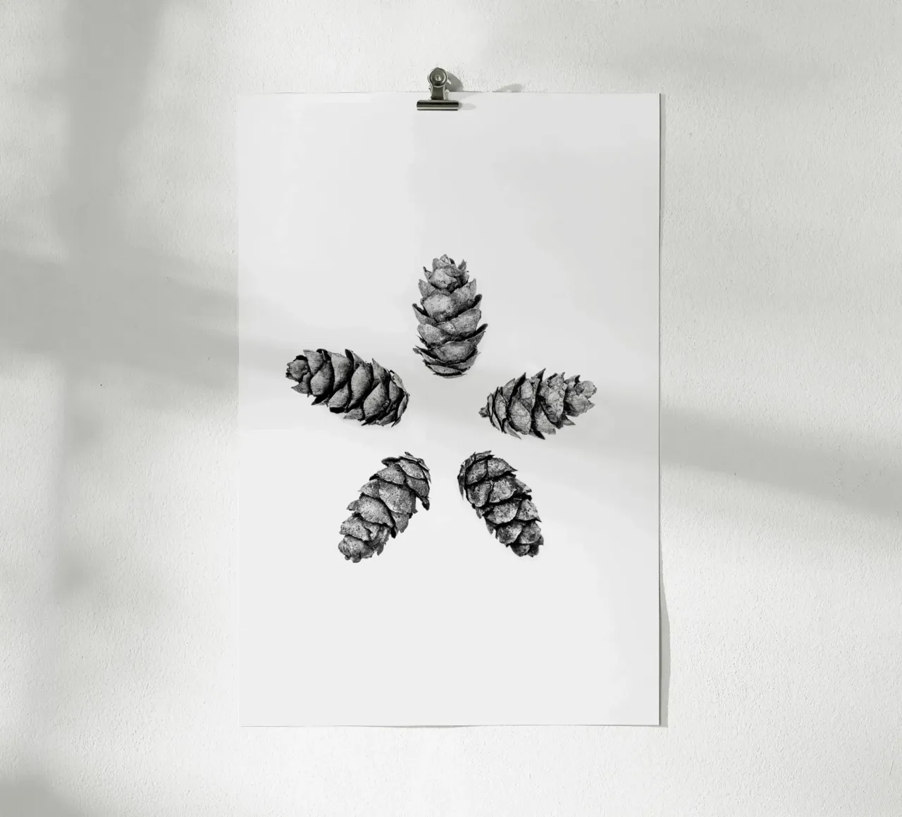 Pine Cones 5 carta hahnemühle da Mareike Böhmer Photography