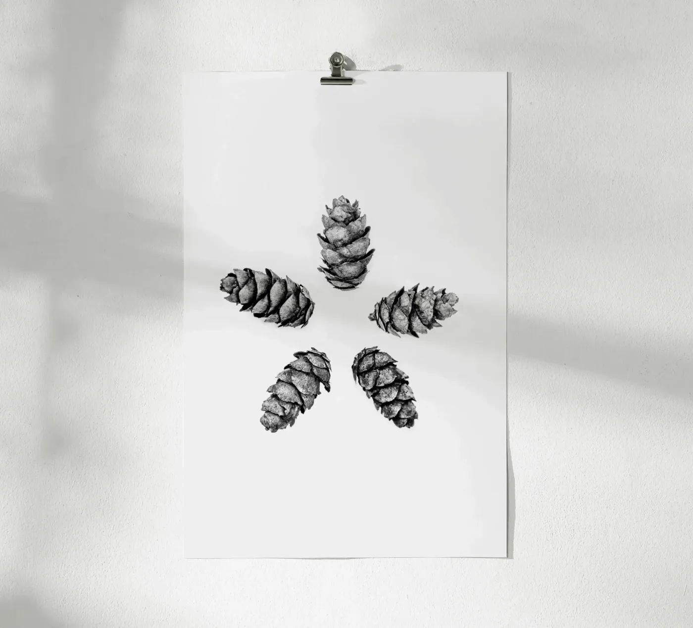 Pine Cones 5 poster by Mareike Böhmer Photography
