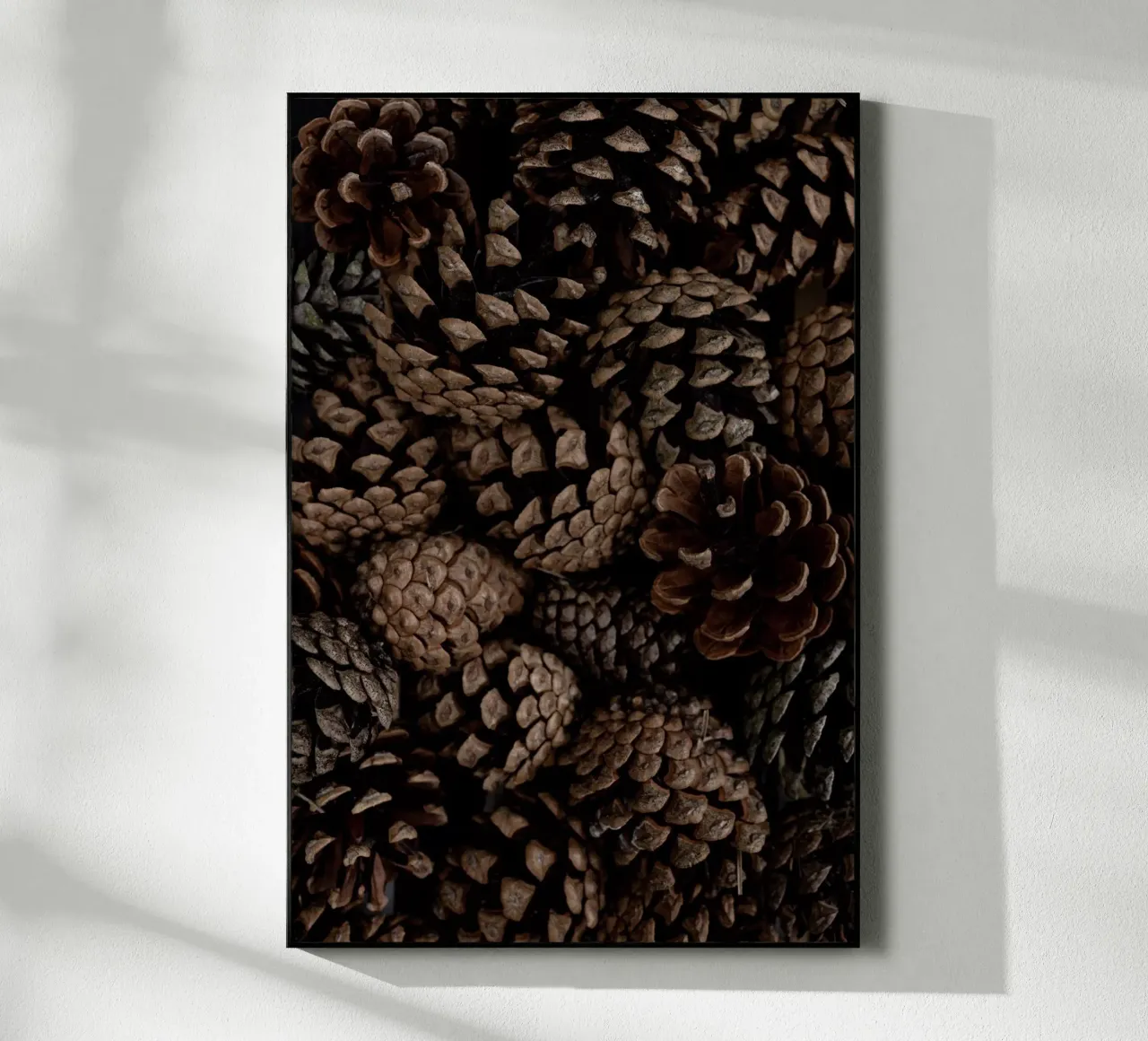 Pine Cones 6 plexiglass da Mareike Böhmer Photography