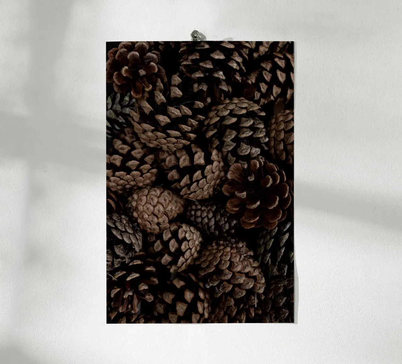 Pine Cones 6 poster da Mareike Böhmer Photography