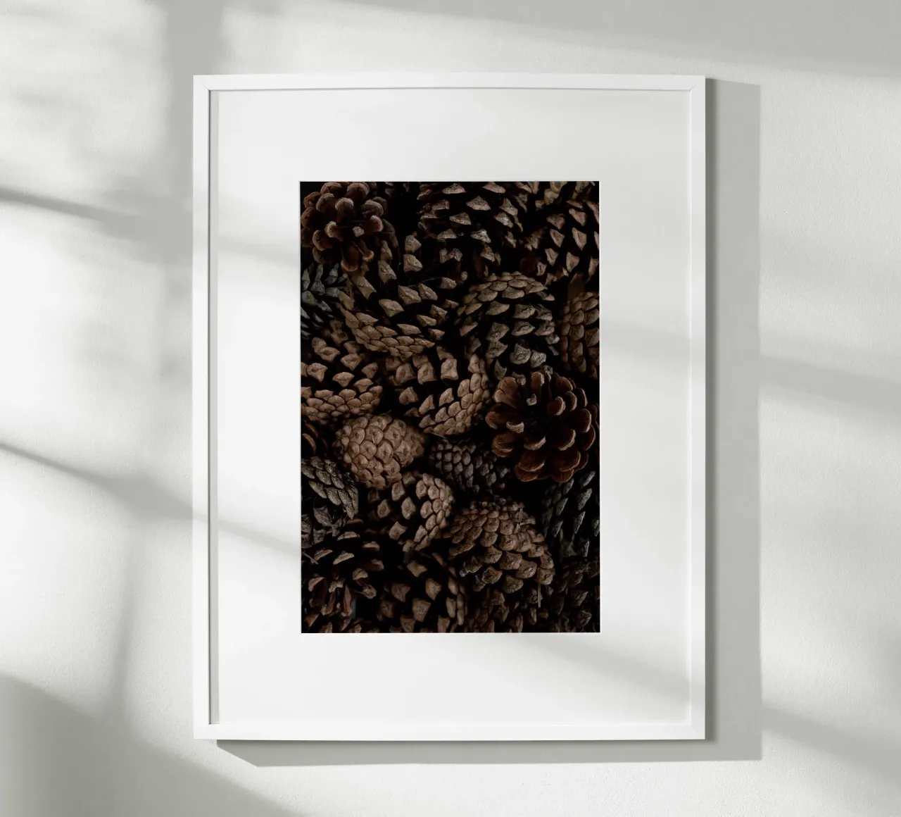 Pine Cones 6 poster da Mareike Böhmer Photography