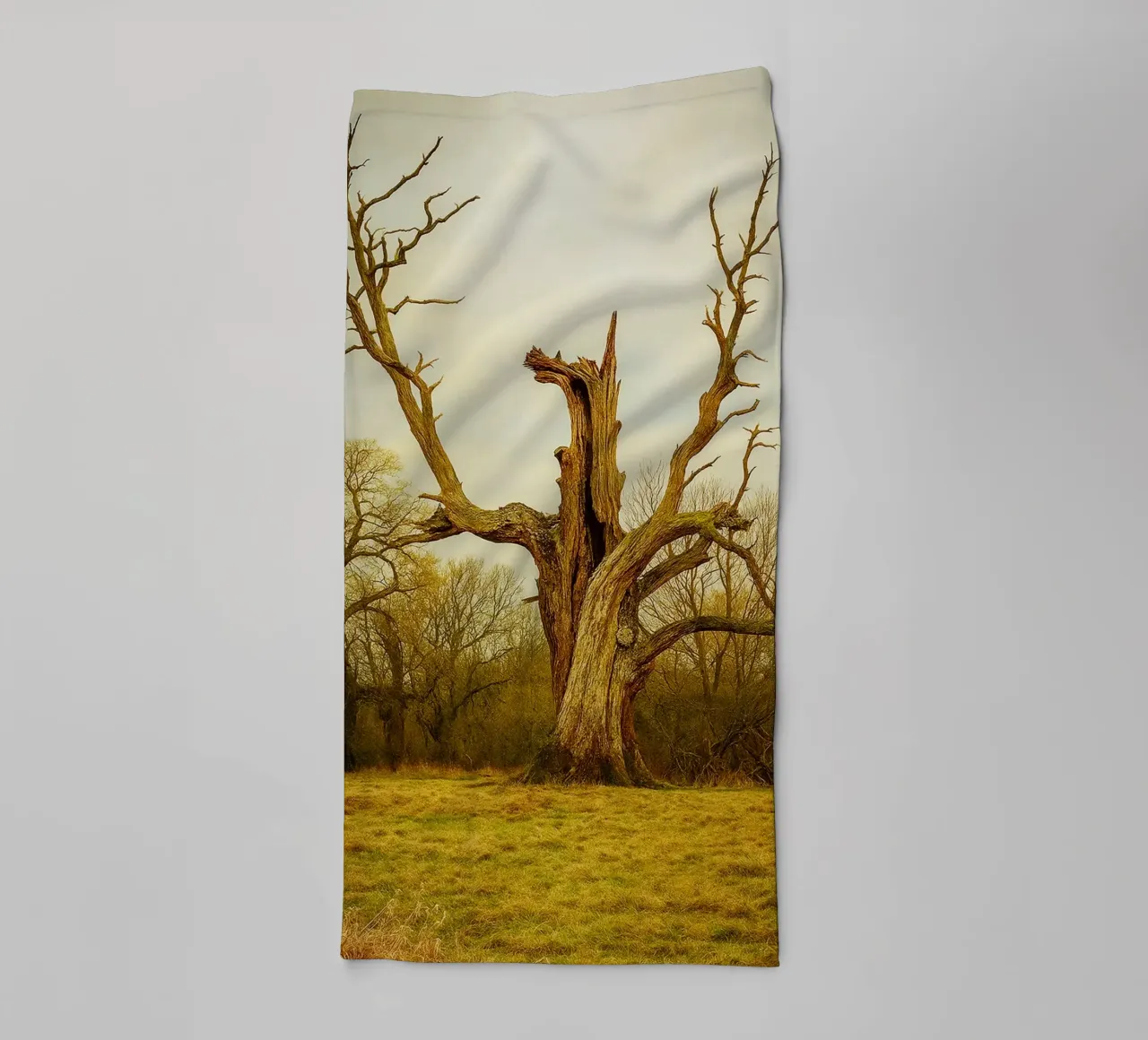 broken tree trunk view photography towel by landtengs