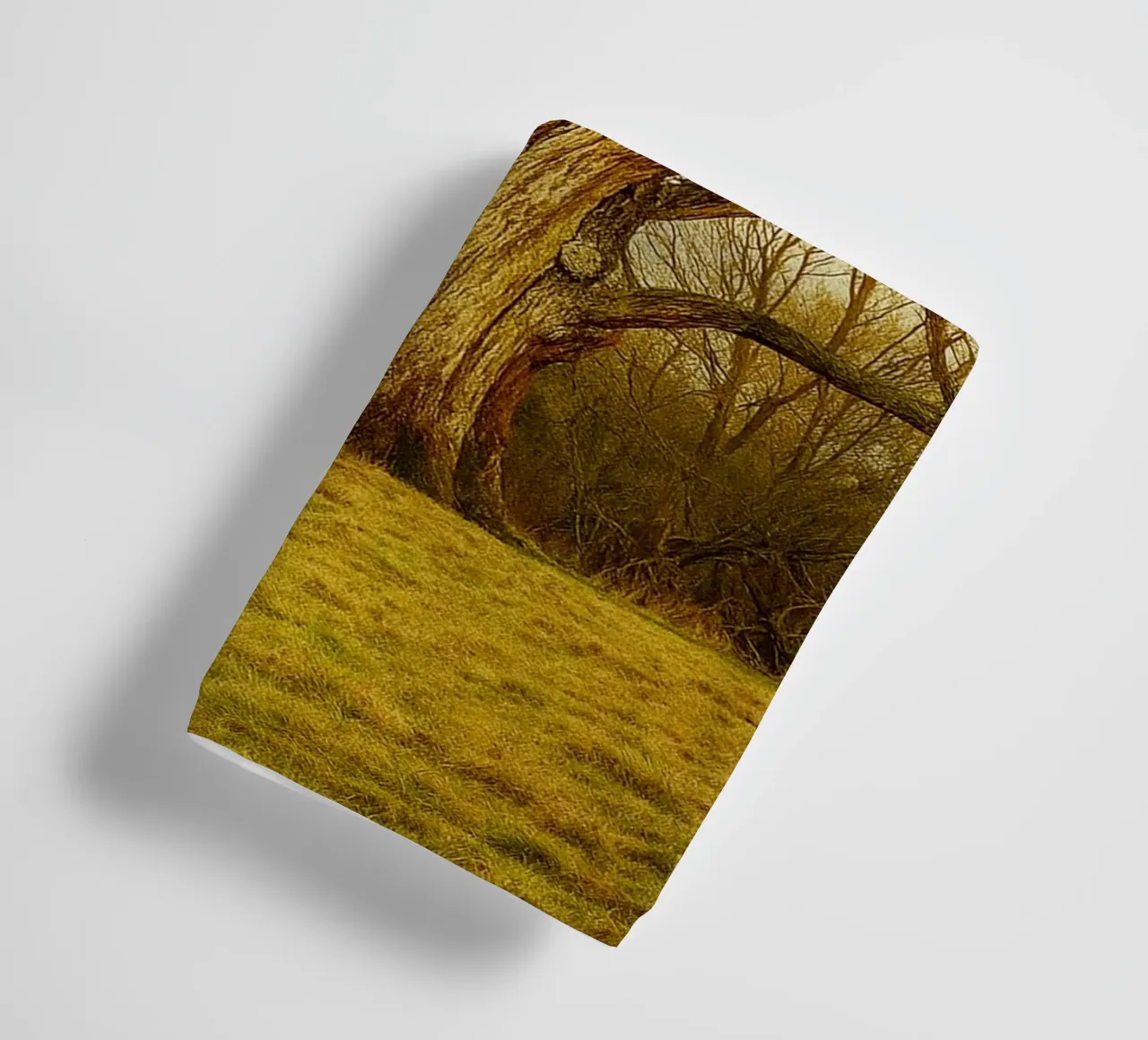 broken tree trunk view photography towel by landtengs