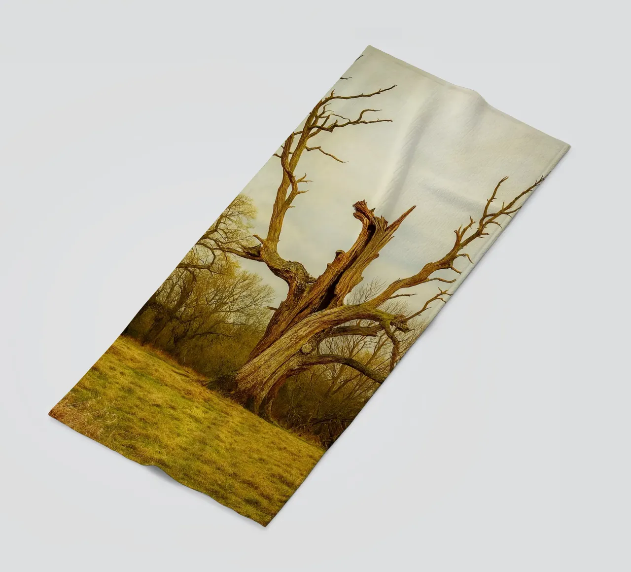 broken tree trunk view photography beach towel by landtengs