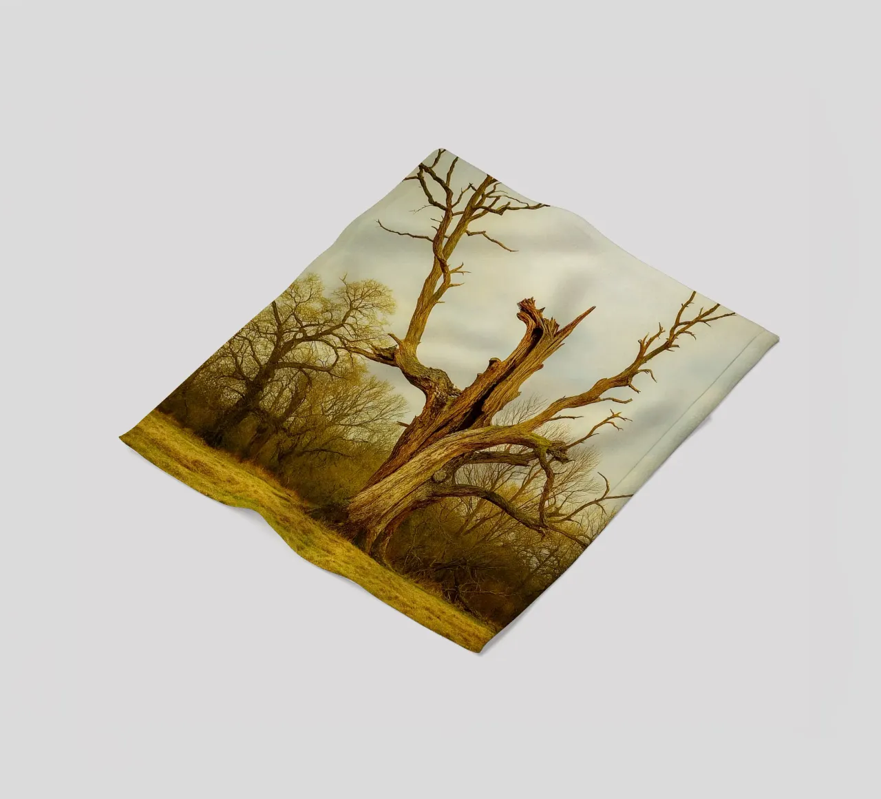 broken tree trunk view photography fleece blanket by landtengs
