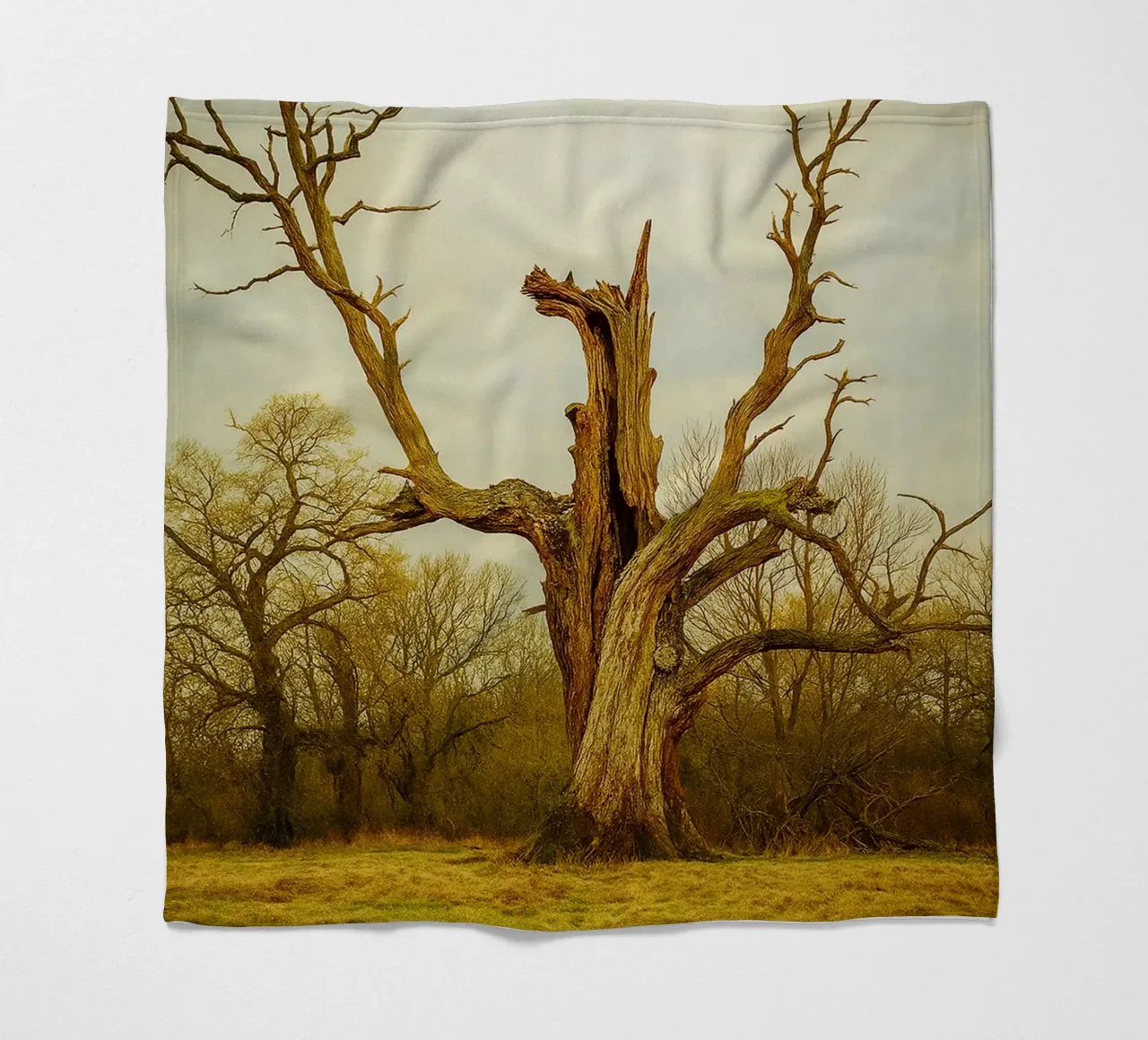 broken tree trunk view photography fleece blanket by landtengs
