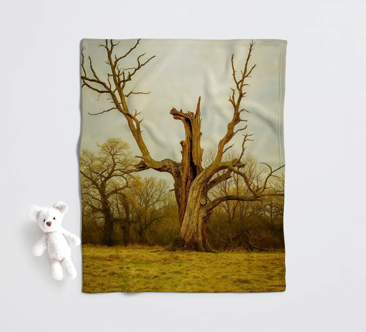 broken tree trunk view photography fleece blanket by landtengs