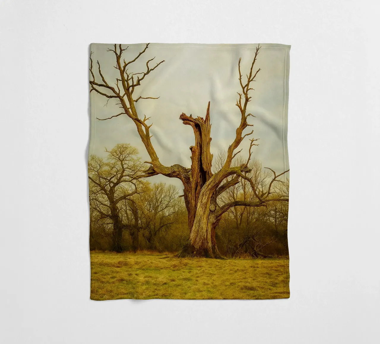 broken tree trunk view photography fleece blanket by landtengs