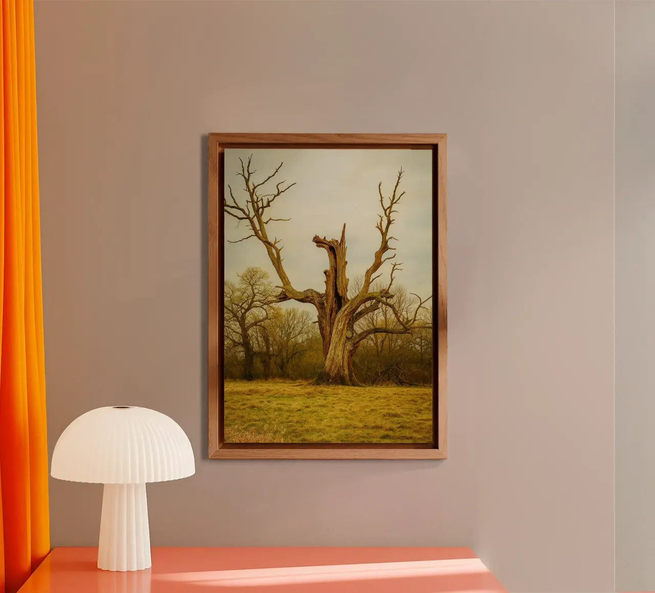 broken tree trunk view photography forex plate by landtengs