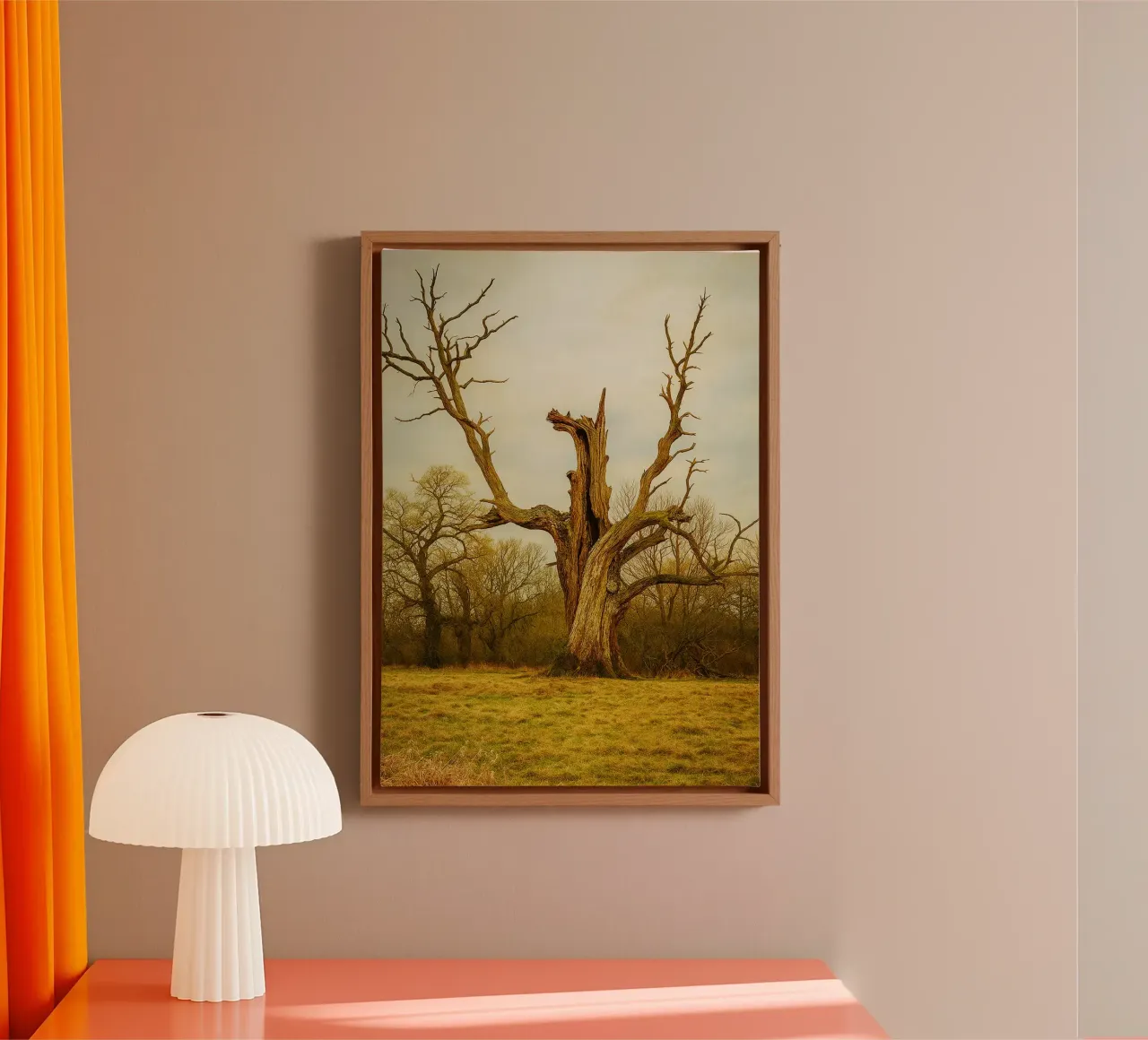 tronc d'arbre cassé vue photographie toile avec Caisse américaine de landtengs